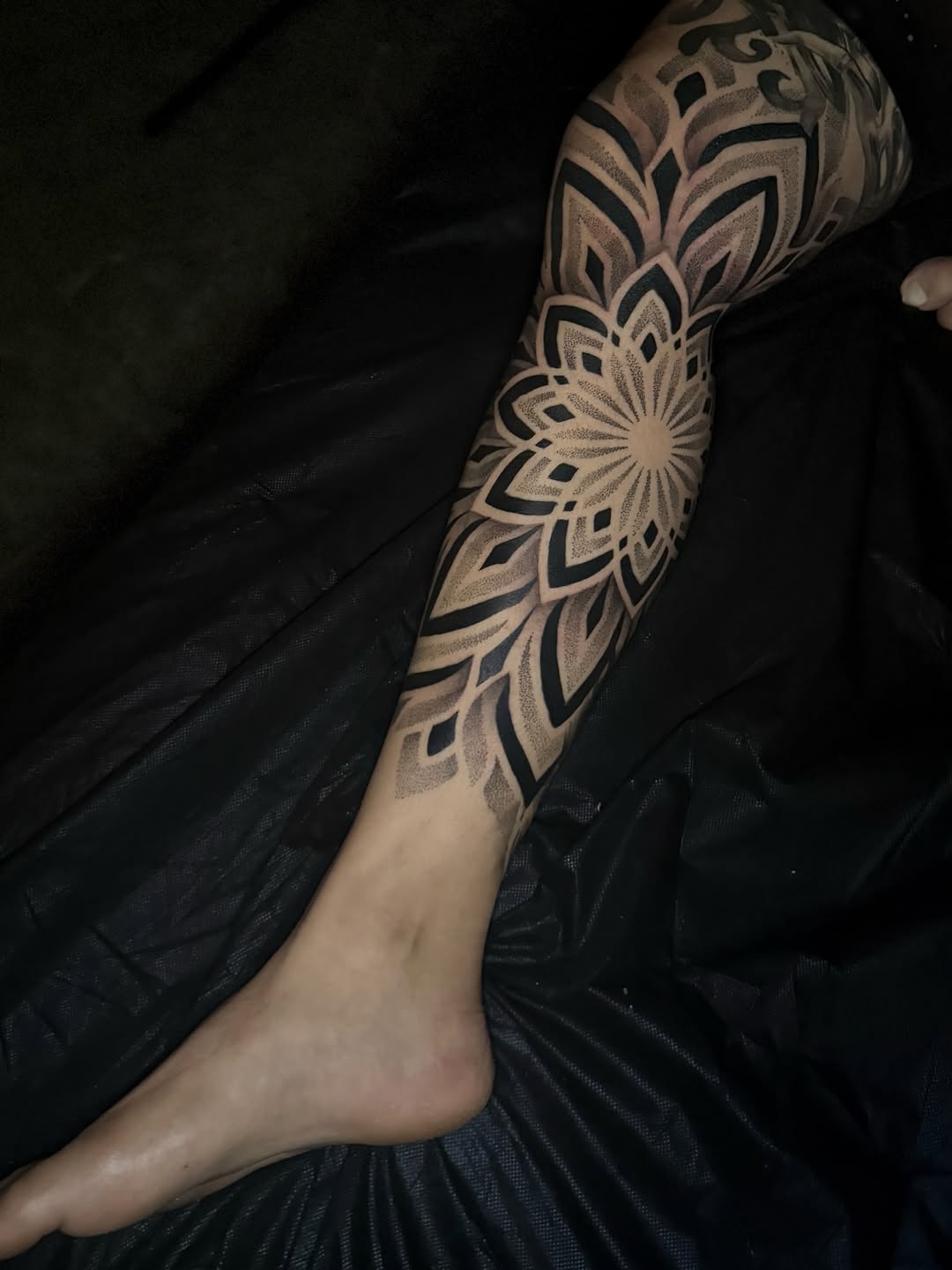 Jason koifman — work 2