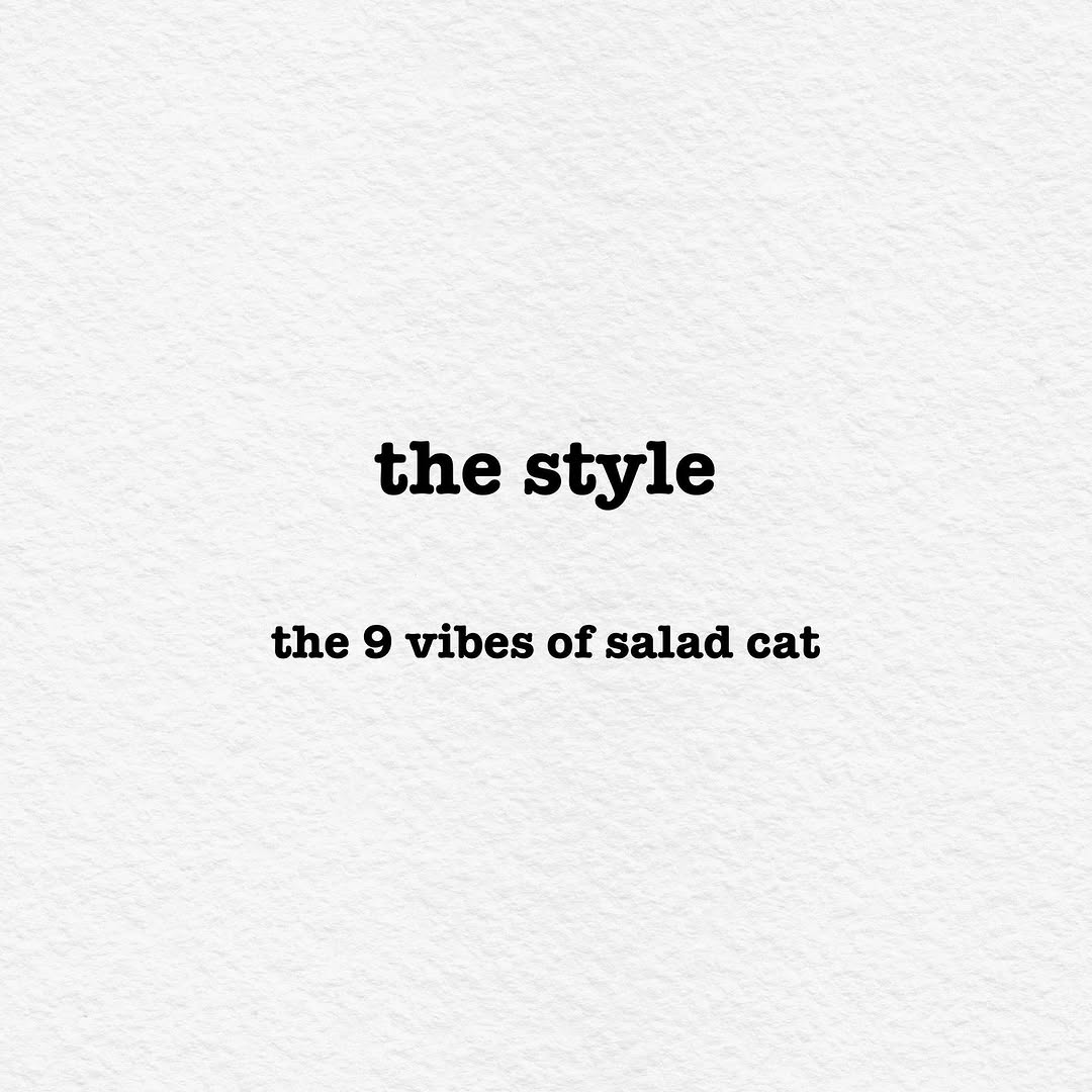 Salad X Cat — work 1